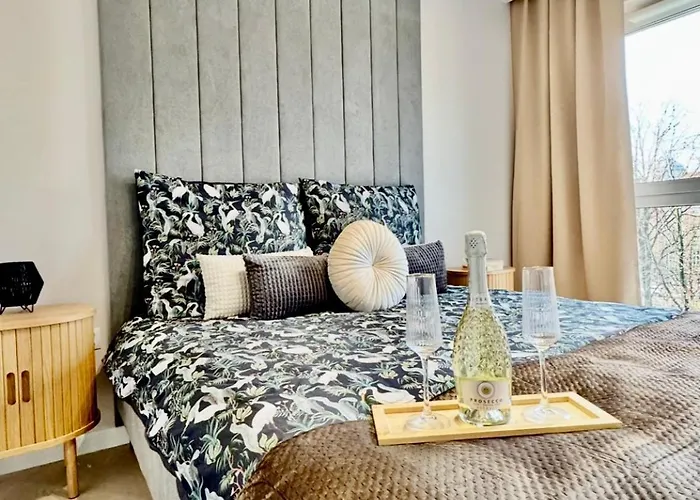 Silesia Prime Belg * 卡托维兹